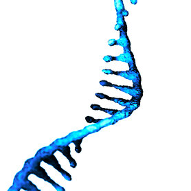 3D molecular visualization of messenger RNA (mRNA) structure used in gene therapy, vaccines, and advanced biologics development.