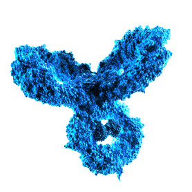 3D molecular visualization of a monoclonal antibody (mAb) structure used in biologics development and therapeutic manufacturing.