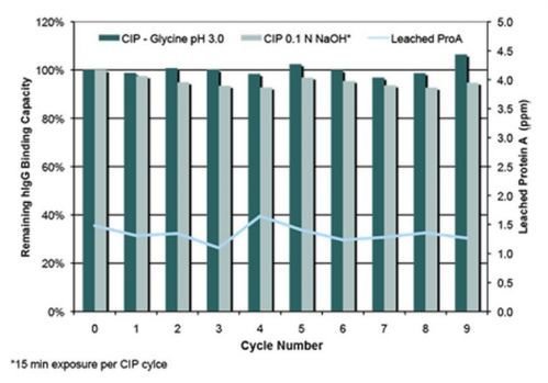 CaptivA® Protein A Affinity Resin