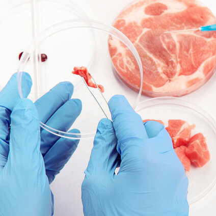 Gloved hands handling a tissue sample with forceps over a petri dish in a laboratory setting.
