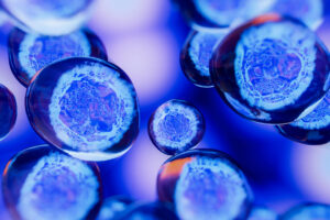 遺伝子細胞治療