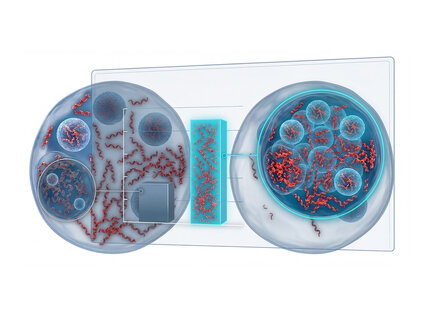  A conceptual illustration showing that over 90% mRNA yield is retained.
