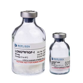 Repligen LONG R3 IGF-I and LONG EGF recombinant growth factors in glass vials for serum-free cell culture media supplementation and enhanced recombinant protein production.