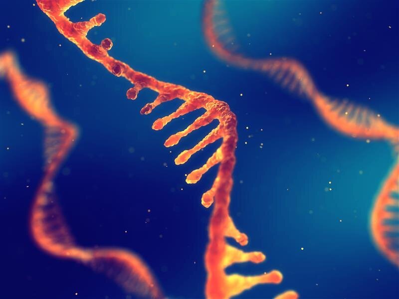 Illustration of single-stranded RNA, which forms the basis of RNA therapeutics and vaccines consisting of mRNA, circRNA, or saRNA.
