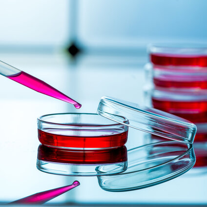 Pipette dispensing red liquid into petri dish, stacked petri dishes in background (cell culture)