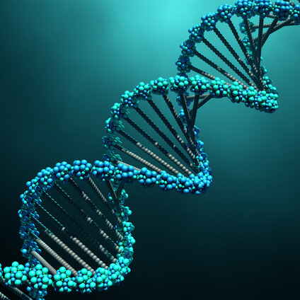 3D molecular visualization of an oligonucleotide DNA structure used in mass spectrometry and analytical characterization applications.