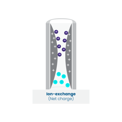 An illustration of ion exchange chromatography, which separates molecules based on differences in their net surface charge.